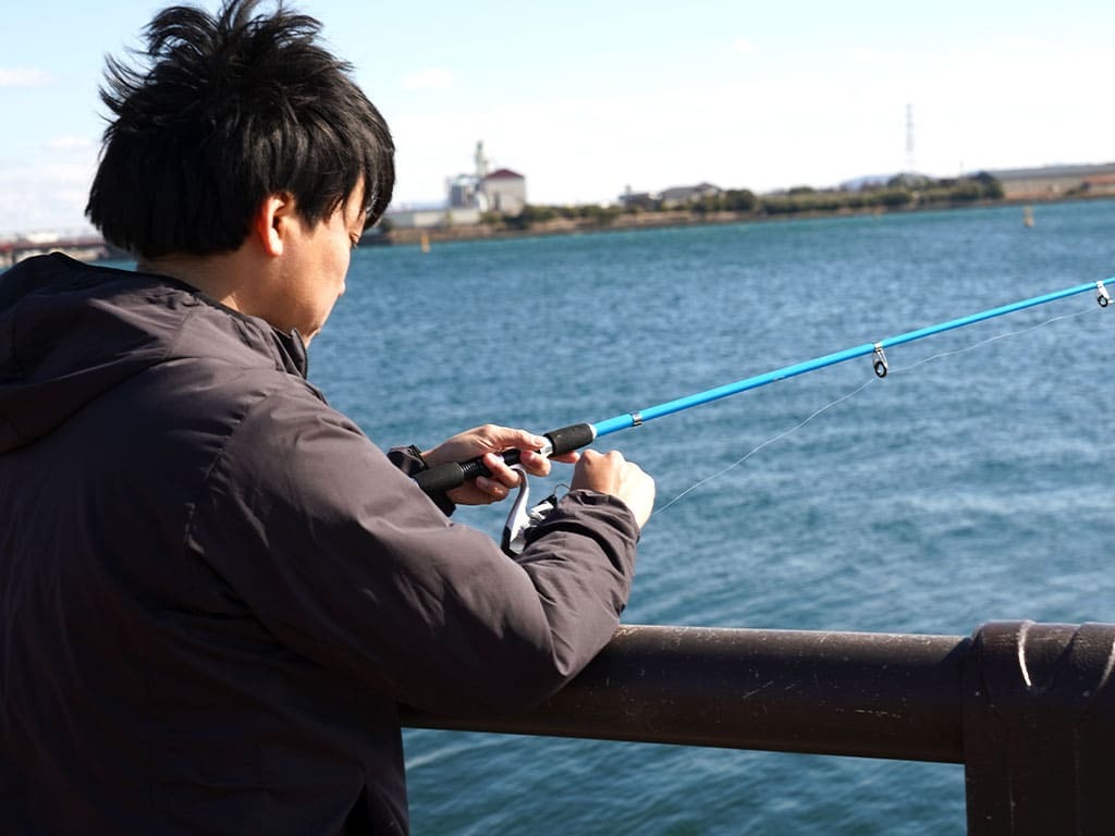 釣れる魚は種類豊富